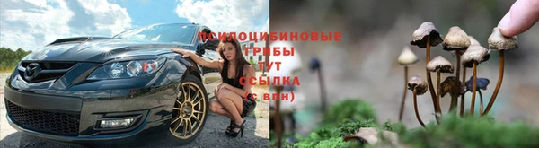 круглые Армянск
