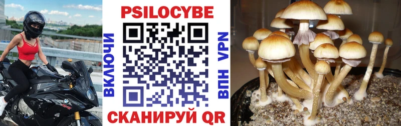 Псилоцибиновые грибы Psilocybine cubensis  Серов 