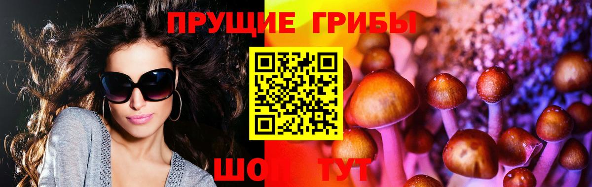 Серов  Псилоцибиновые грибы мухоморы  Вход с VPN 